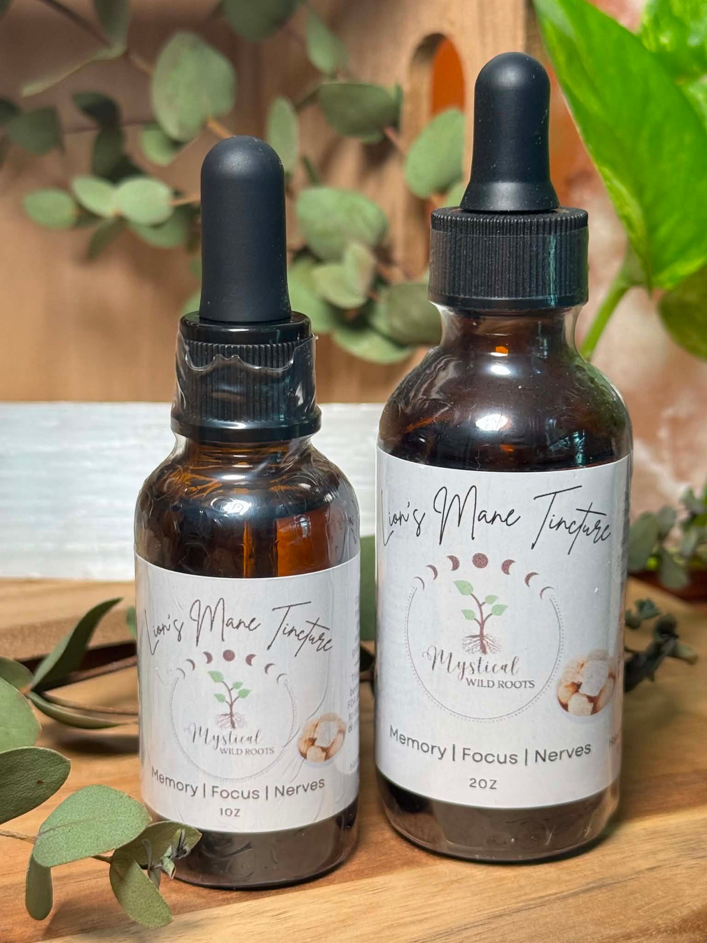 Lion's Mane Tincture
